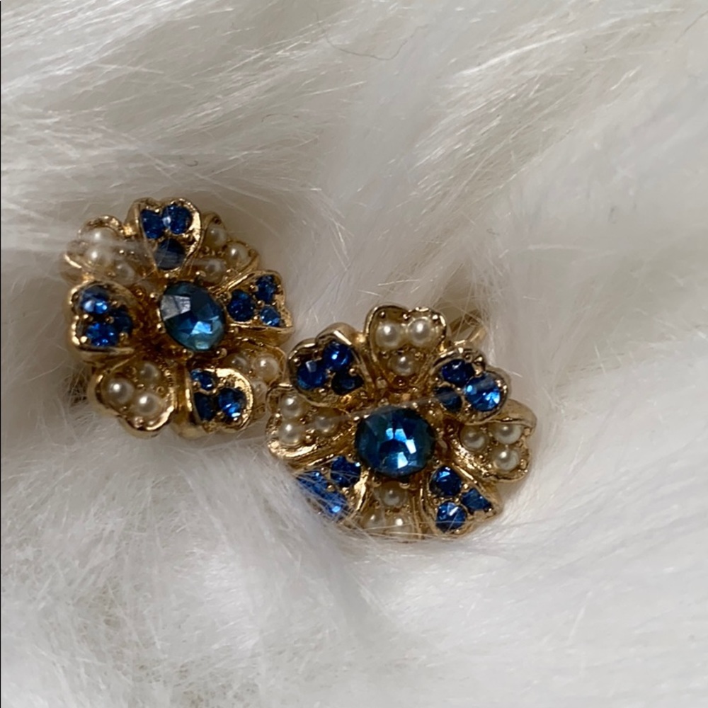 Vintage Clip on Earrings! Beautiful